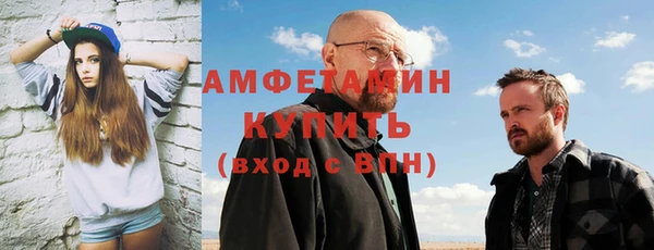 мдпв Инсар