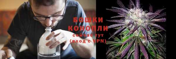 мдпв Инсар