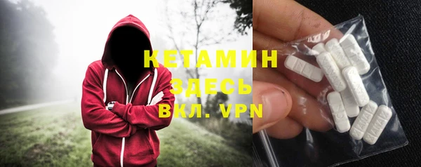 мдпв Инсар