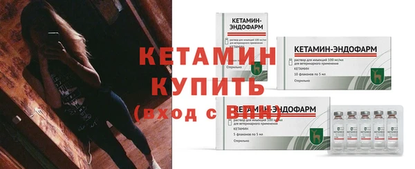 мдпв Инсар