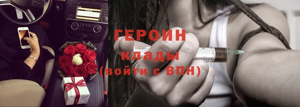мдпв Инсар