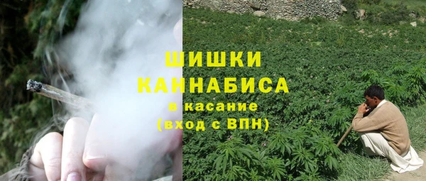 мдпв Инсар