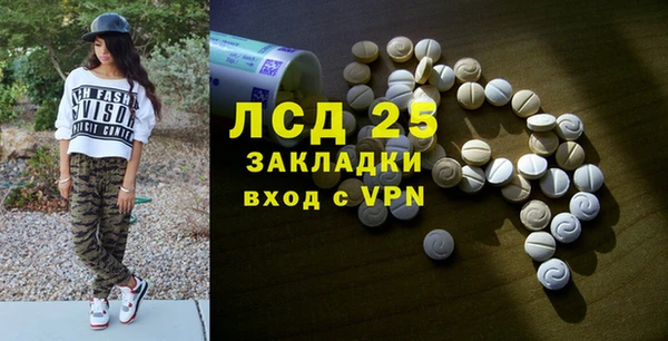 мдпв Инсар