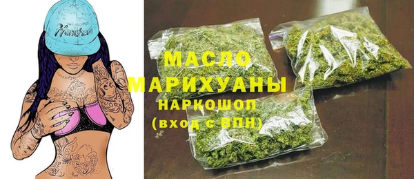 мдпв Инсар