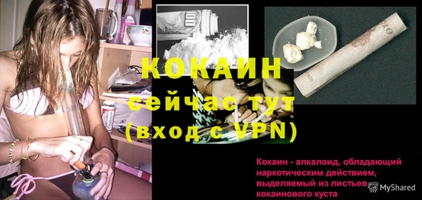 мет Инта