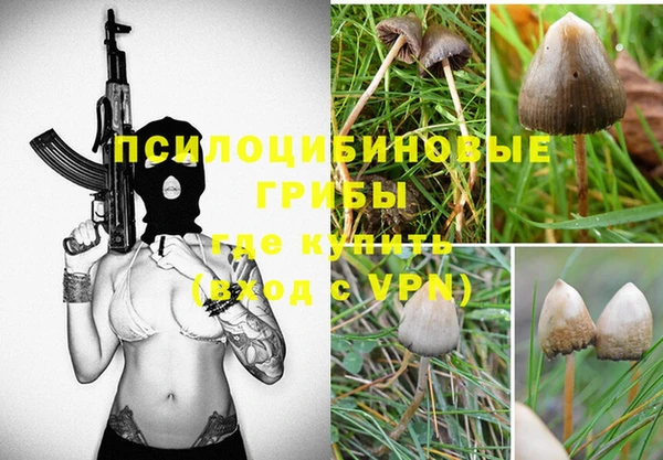 мдпв Инсар