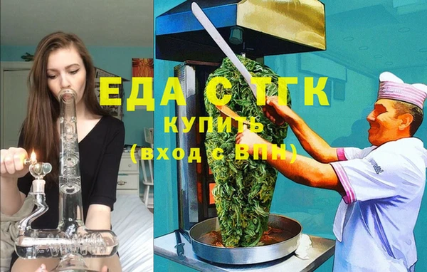 мдпв Инсар