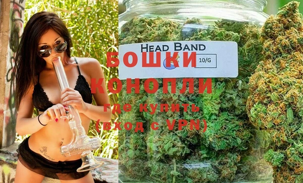 мет Инта