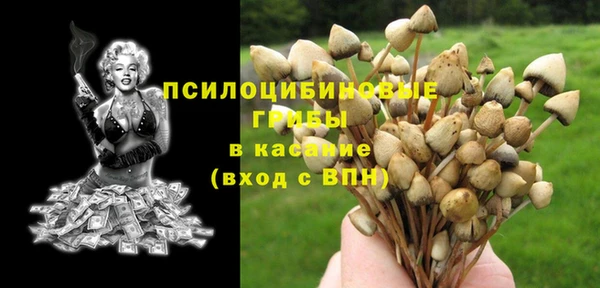мет Инта
