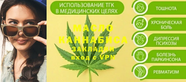 мдпв Инсар