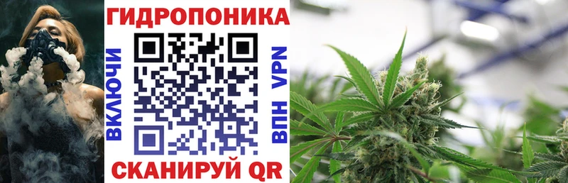 Купить закладки  Севск  Каннабис SATIVA & INDICA 